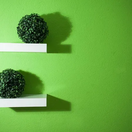 Busslehner * 阿亨基希